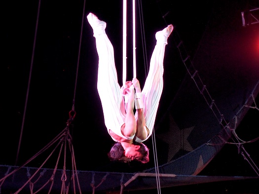 Circus Circus Acts